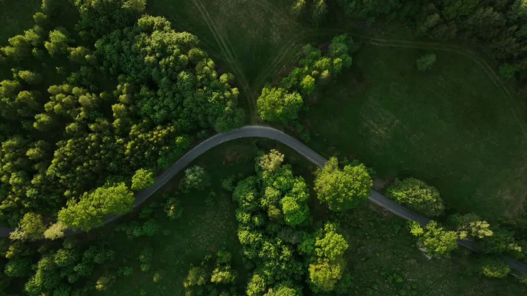 DJI_0302
